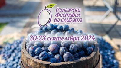 Фестивал 2024